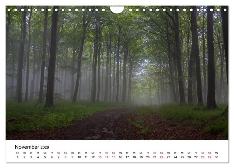 Produktbild: Traumhaftes R&uuml;gen (Wandkalender 2026 DIN A4 quer), CALVENDO Monatskalender