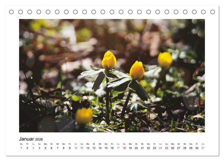 Produktbild: Mein Sehnsuchtsort, der Garten (Tischkalender 2026 DIN A5 quer), CALVENDO Monatskalender