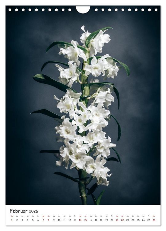 Produktbild: Orchideen Zauber (Wandkalender 2026 DIN A4 hoch), CALVENDO Monatskalender