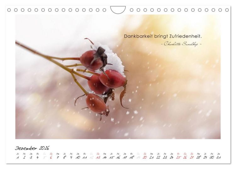 Produktbild: Mit guten Gedanken durch das Jahr (Wandkalender 2026 DIN A4 quer), CALVENDO Monatskalender