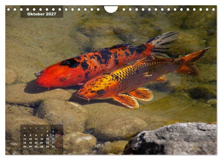 Produktbild: Gl&uuml;cksbringer (Wandkalender 2027 DIN A4 quer), CALVENDO Monatskalender