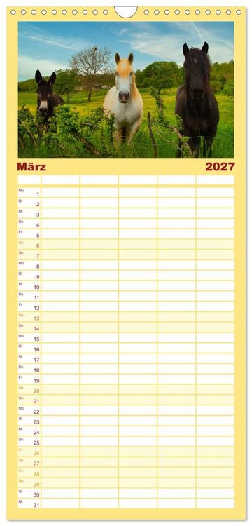 Produktbild: Familienplaner 2027 - Liebenswerte Esel mit 5 Spalten (Wandkalender, 21 x 45 cm) CALVENDO