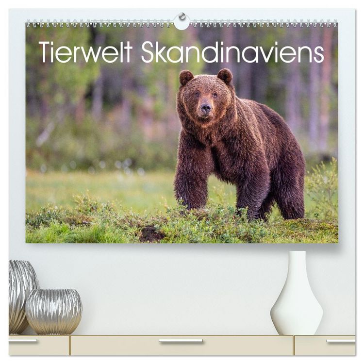 Produktbild: Tierwelt Skandinaviens (hochwertiger Premium Wandkalender 2026 DIN A2 quer), Kunstdruck in Hochglanz