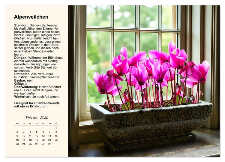 Produktbild: Bestes Raumklima durch Zimmerpflanzen (Wandkalender 2026 DIN A4 quer), CALVENDO Monatskalender
