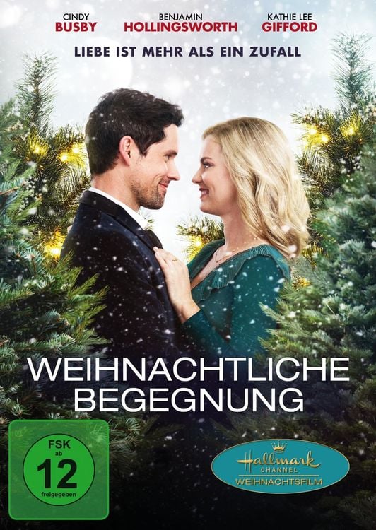 Produktbild: Weihnachtliche Begegnung - Liebe ist mehr als ein Zufall