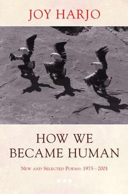 Produktbild: How We Became Human