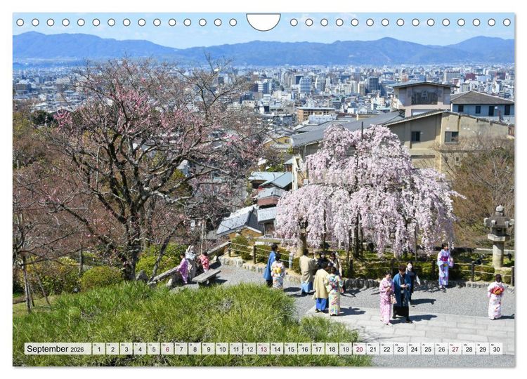 Produktbild: Die Kirschbl&uuml;te in Japan (Wandkalender 2026 DIN A4 quer), CALVENDO Monatskalender