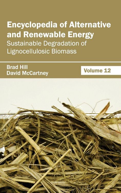 Produktbild: Encyclopedia of Alternative and Renewable Energy