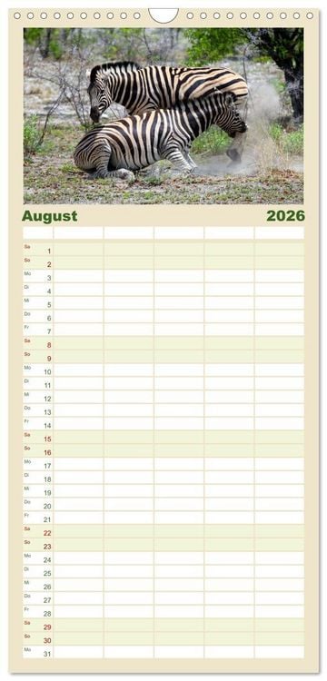 Produktbild: Familienplaner 2026 - Roadtrip in Namibia mit 5 Spalten (Wandkalender, 21 x 45 cm) CALVENDO