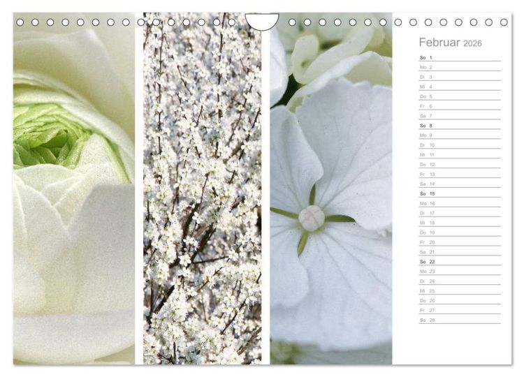 Produktbild: Nat&uuml;rlicher Dreiklang (Wandkalender 2026 DIN A4 quer), CALVENDO Monatskalender