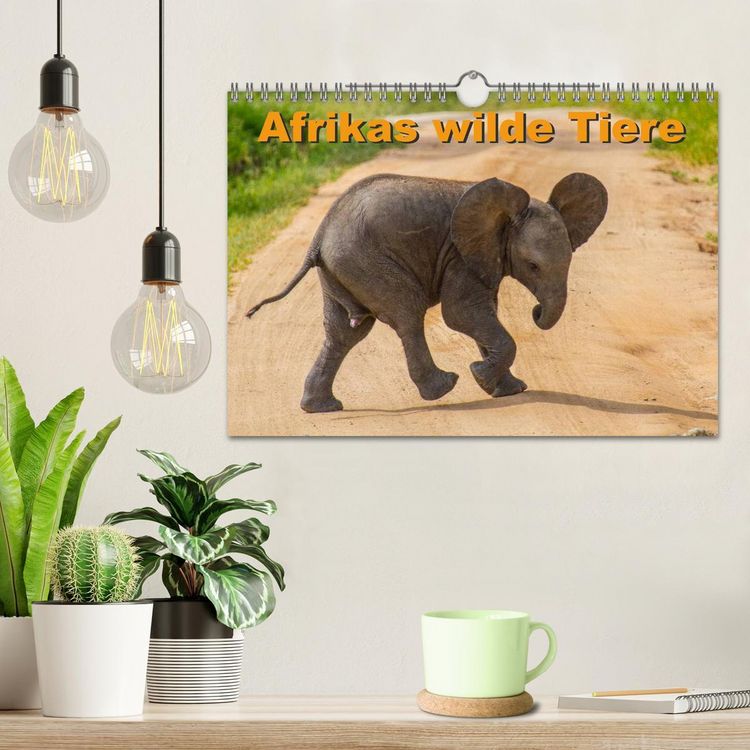 Produktbild: Afrikas wilde Tiere (Wandkalender 2026 DIN A4 quer), CALVENDO Monatskalender