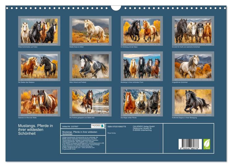 Produktbild: Mustangs. Pferde in ihrer wildesten Sch&ouml;nheit (Wandkalender 2027 DIN A3 quer), CALVENDO Monatskalender