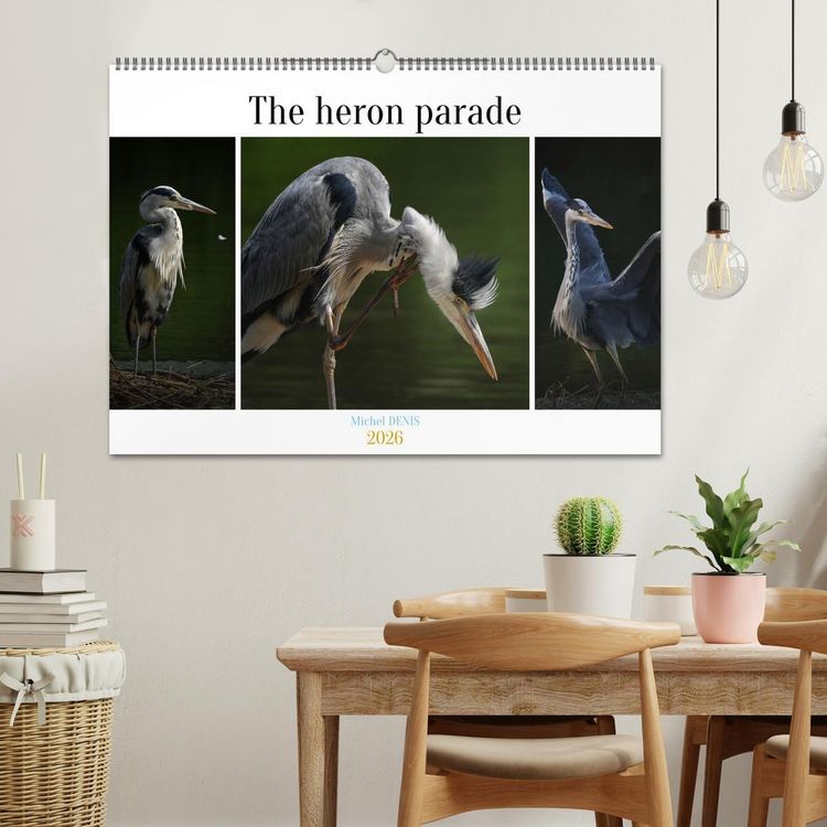 Produktbild: The heron parade (Wall Calendar 2026 DIN A2 landscape), CALVENDO 12 Month Wall Calendar