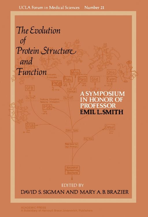 Produktbild: The Evolution of Protein Structure and Function