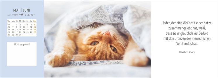 Produktbild: Katzen Premium-Tischplaner 2027 - Der literarische Wochenkalender mit Zitaten