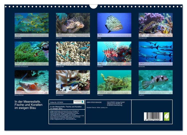 Produktbild: In der Meerestiefe. Fische und Korallen im ewigen Blau (Wandkalender 2026 DIN A3 quer), CALVENDO Monatskalender