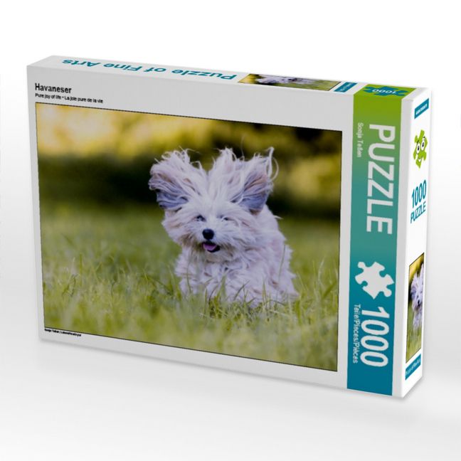 Produktbild: CALVENDO Puzzle Havaneser | 1000 Teile Lege-Gr&ouml;&szlig;e 64x48cm Foto-Puzzle f&uuml;r gl&uuml;ckliche Stunden