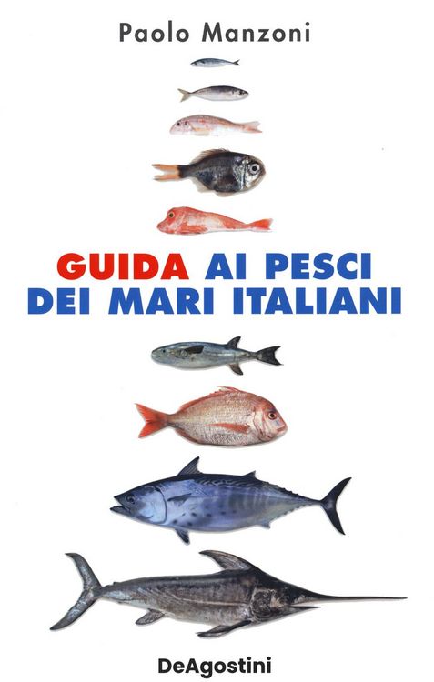Produktbild: Guida ai pesci dei mari italiani