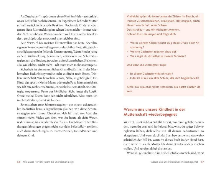 Produktbild: Mutterschuldgef&uuml;hle