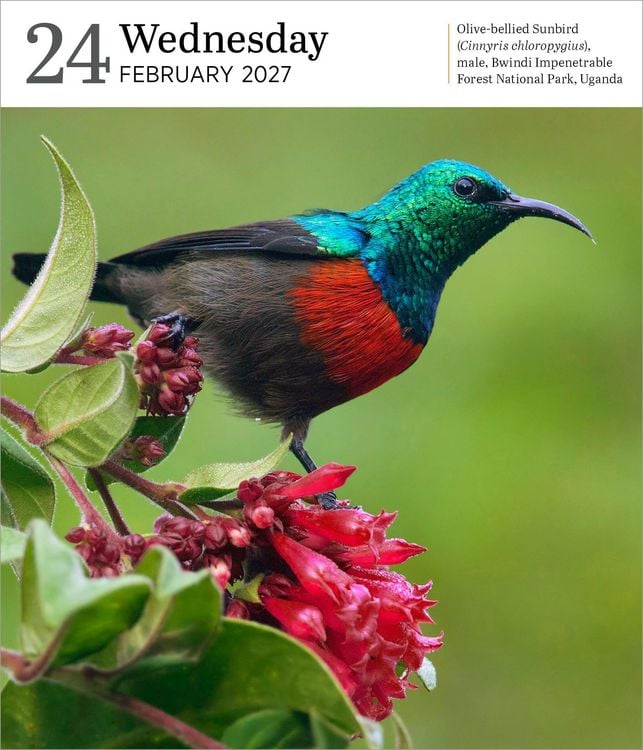 Produktbild: Audubon Nature Page-A-Day&reg; Gallery Calendar 2027