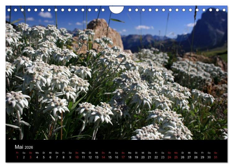 Produktbild: Alpe di Siusi - Seiser Alm (Wandkalender 2026 DIN A4 quer), CALVENDO Monatskalender