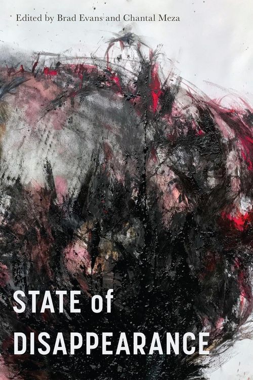 Produktbild: State of Disappearance