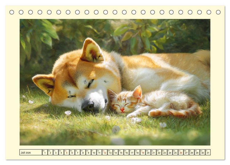 Produktbild: Akita Inu in der Natur. Japans edle und sanfte Sch&ouml;nheit (Tischkalender 2026 DIN A5 quer), CALVENDO Monatskalender
