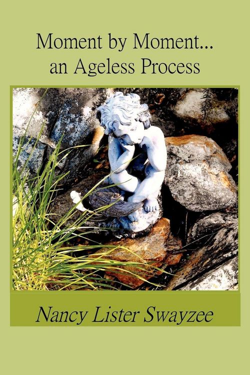 Produktbild: Moment by Moment...an Ageless Process