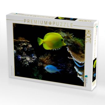 Produktbild: CALVENDO Puzzle Wunderbare Unterwasserwelt | 1000 Teile Lege-Gr&ouml;&szlig;e 64x48cm Foto-Puzzle f&uuml;r gl&uuml;ckliche Stunden