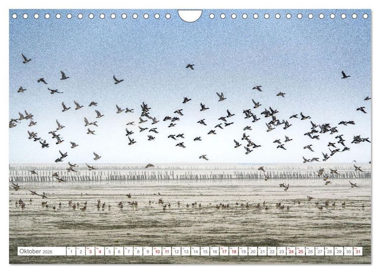 Produktbild: Naturerlebnis R&oslash;m&oslash; (Wandkalender 2026 DIN A4 quer), CALVENDO Monatskalender