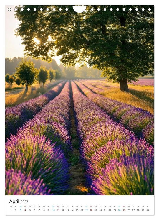Produktbild: Der Sommer bl&uuml;ht violett (Wandkalender 2027 DIN A4 hoch), CALVENDO Monatskalender