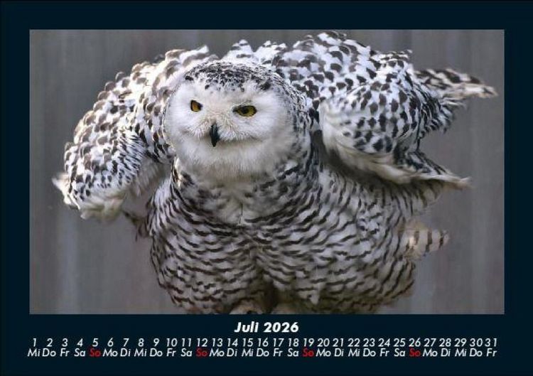 Produktbild: Welt der V&ouml;gel 2026 Fotokalender DIN A5