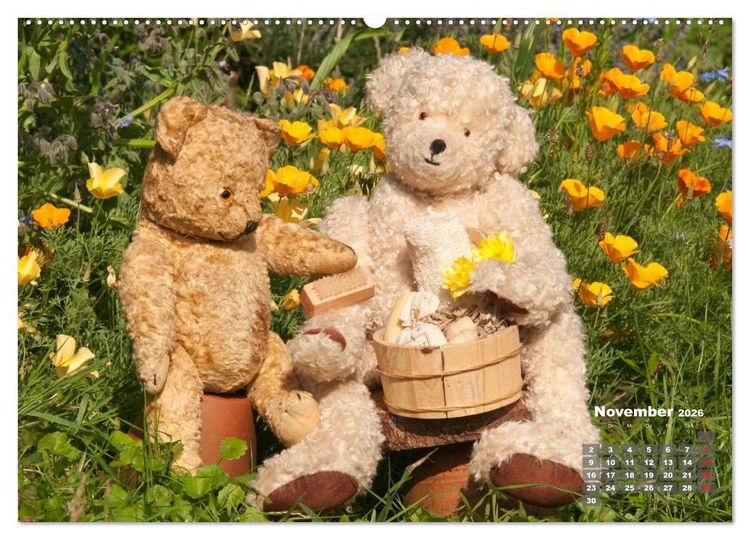 Produktbild: Geliebte B&auml;ren - Teddys (hochwertiger Premium Wandkalender 2026 DIN A2 quer), Kunstdruck in Hochglanz
