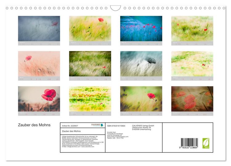 Produktbild: Zauber des Mohns (Wandkalender 2026 DIN A3 quer), CALVENDO Monatskalender