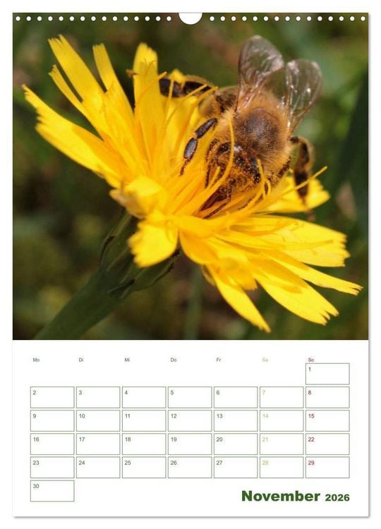 Produktbild: Bienen-Terminplaner 2026 (Wandkalender 2026 DIN A3 hoch), CALVENDO Monatskalender