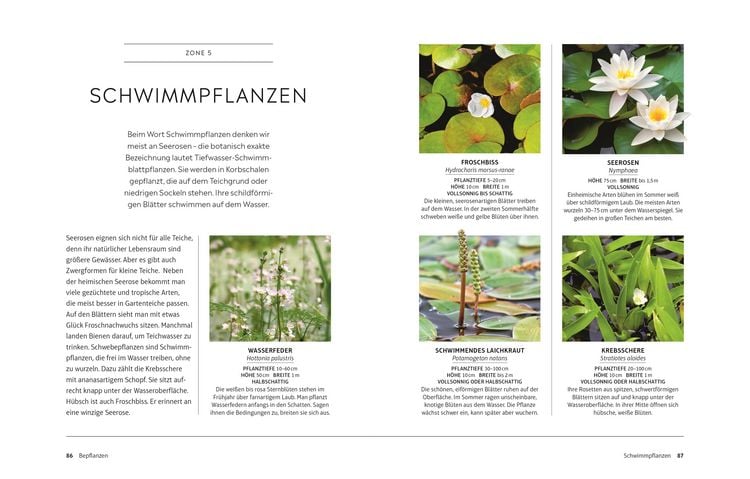 Produktbild: Leben am Gartenteich