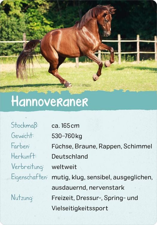 Produktbild: Naturforscher-Kids &ndash; Pferde & Ponys