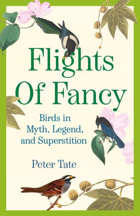 Produktbild: Flights of Fancy