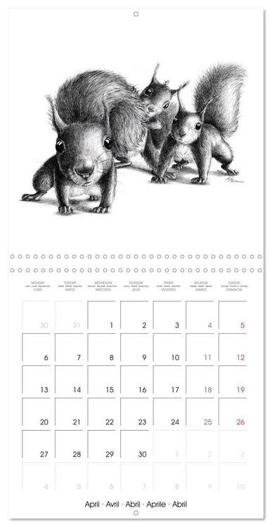Produktbild: owls and mates 2026 (Wall Calendar 2026 12 &times; 12 Inch) CALVENDO 12 Month Wall Calendar