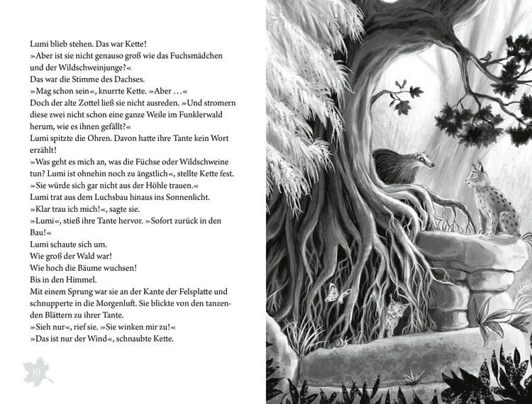 Produktbild: Funklerwald