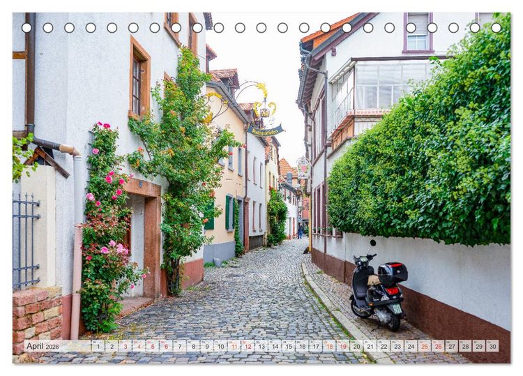 Produktbild: Neustadt an der Weinstra&szlig;e Impressionen (Tischkalender 2026 DIN A5 quer), CALVENDO Monatskalender