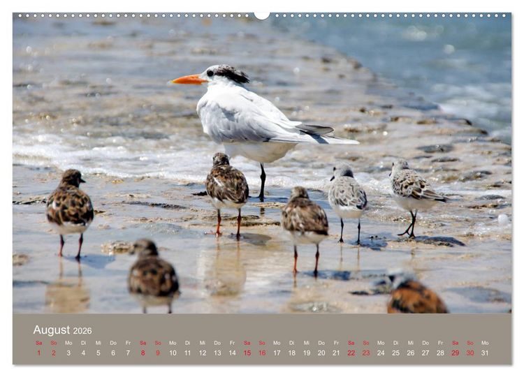 Produktbild: Mexiko - ein traumhaftes Paradies (hochwertiger Premium Wandkalender 2026 DIN A2 quer), Kunstdruck in Hochglanz