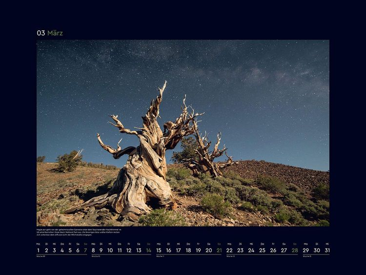 Produktbild: Alte B&auml;ume, Sinnbilder des Lebens - KUNTH Wandkalender 2027