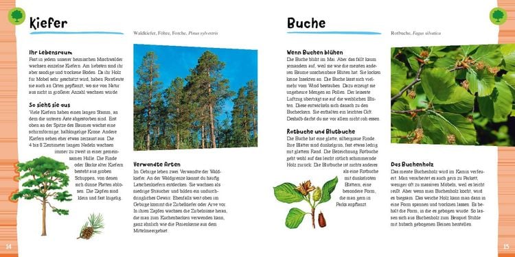 Produktbild: Tiere und Pflanzen entdecken mit 38 Vogelstimmen als QR-Codes: Naturf&uuml;hrer f&uuml;r Kinder ab 7 Jahren