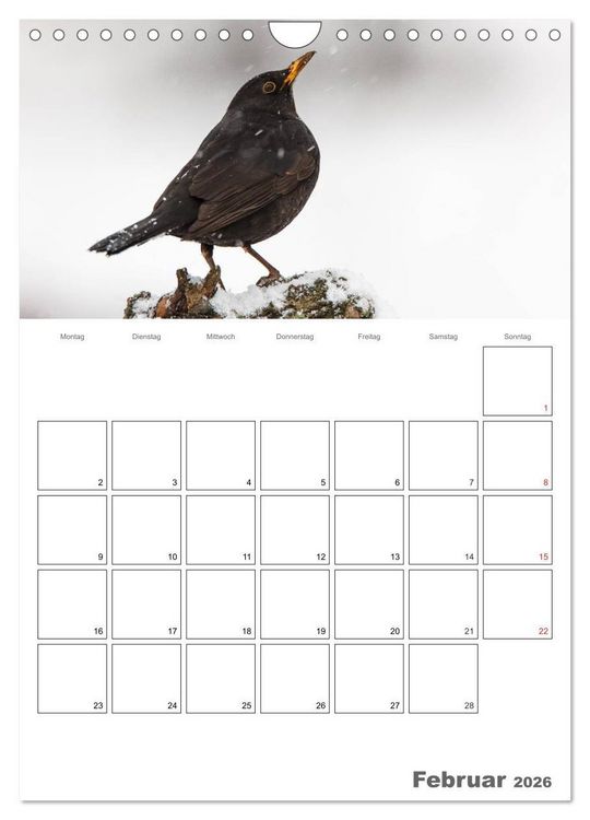 Produktbild: V&ouml;gel im heimischen Garten (Wandkalender 2026 DIN A4 hoch), CALVENDO Monatskalender