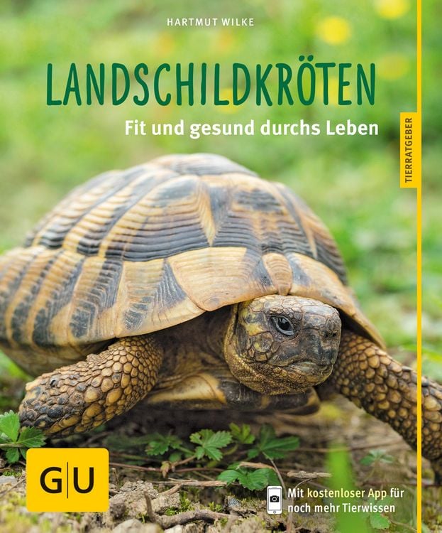 Produktbild: Landschildkr&ouml;ten