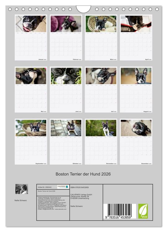 Produktbild: Boston Terrier der Hund 2026 (Wandkalender 2026 DIN A4 hoch), CALVENDO Monatskalender