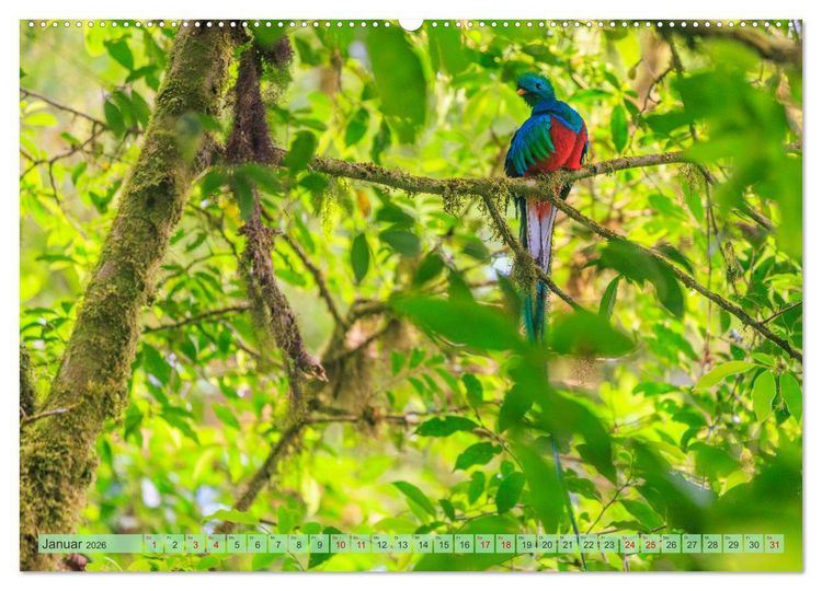Produktbild: Tropenparadies zwischen Ozeanen Costa Rica (Wandkalender 2026 DIN A2 quer), CALVENDO Monatskalender