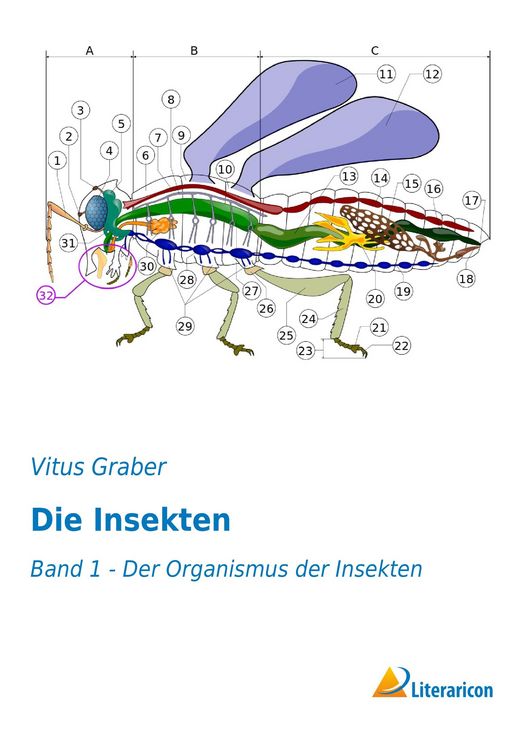 Produktbild: Die Insekten