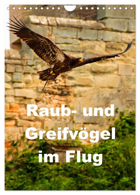 Produktbild: Raub- und Greifv&ouml;gel im Flug (Wandkalender 2026 DIN A4 hoch), CALVENDO Monatskalender